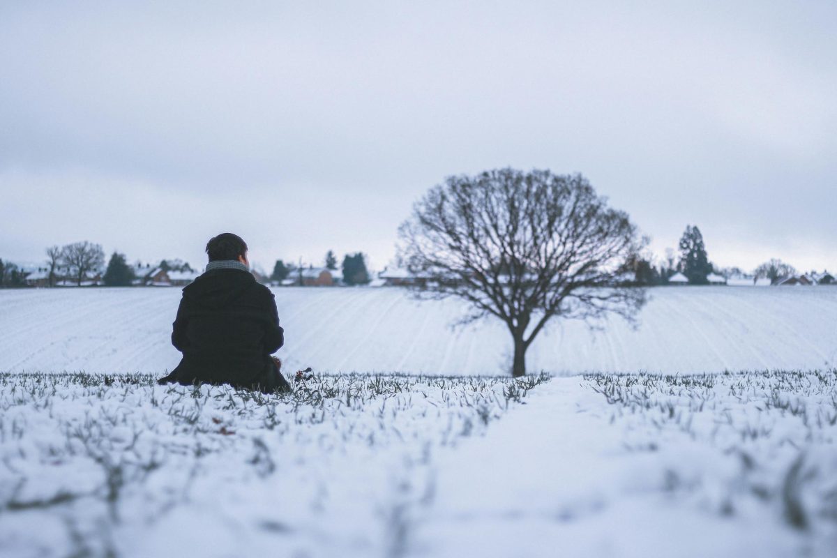 Photo by Ian Cacao on Unsplash
      