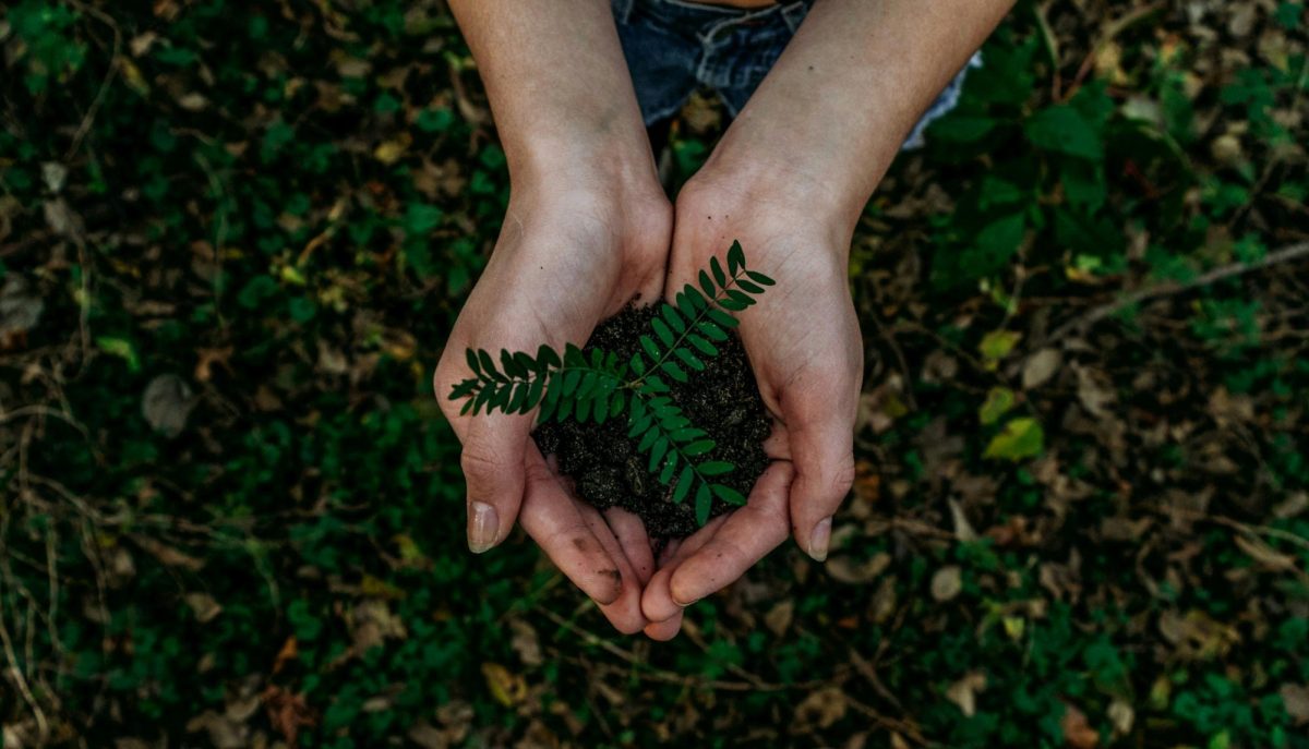 Photo by Noah Buscher on Unsplash
      